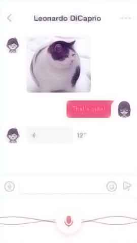 DDOS压力测试软件程序维护界面